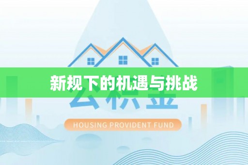 勃利新规下的机遇与挑战