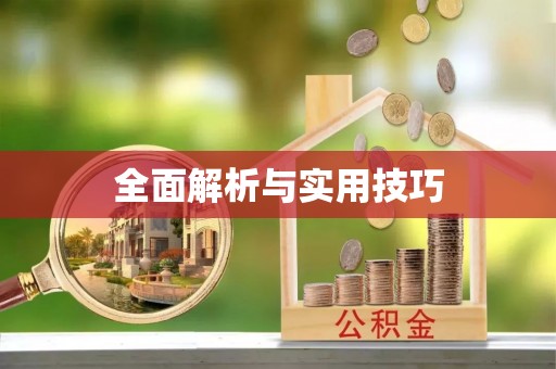勃利全面解析与实用技巧