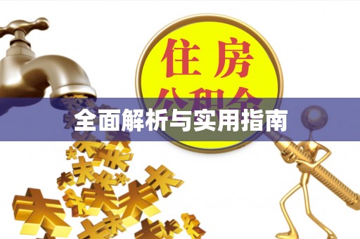 勃利全面解析与实用指南