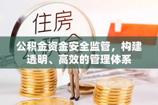 勃利公积金资金安全监管，构建透明、高效的管理体系