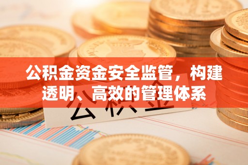 勃利公积金资金安全监管，构建透明、高效的管理体系