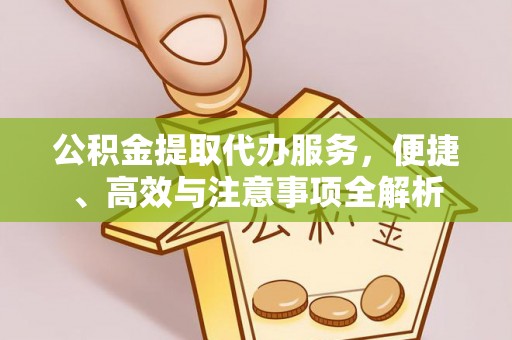 勃利公积金提取代办服务，便捷、高效与注意事项全解析