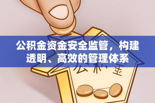 勃利公积金资金安全监管，构建透明、高效的管理体系