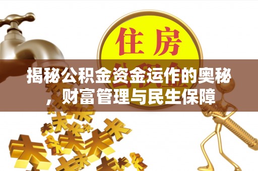 勃利揭秘公积金资金运作的奥秘，财富管理与民生保障