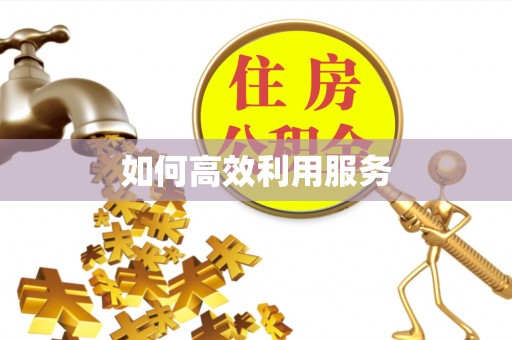 勃利如何高效利用服务