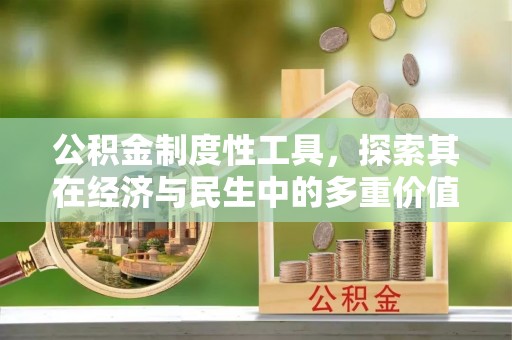 勃利公积金制度性工具，探索其在经济与民生中的多重价值