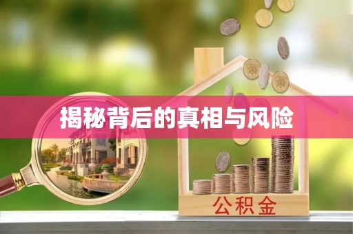 勃利揭秘背后的真相与风险