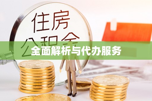 勃利全面解析与代办服务