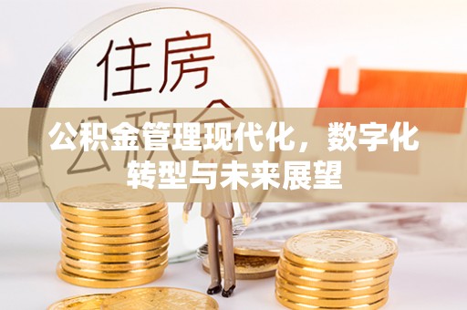 勃利公积金管理现代化，数字化转型与未来展望
