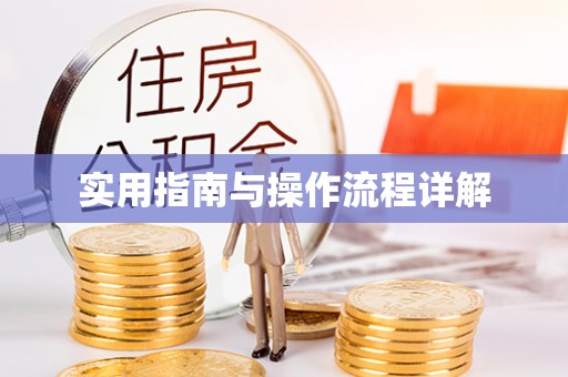 勃利实用指南与操作流程详解
