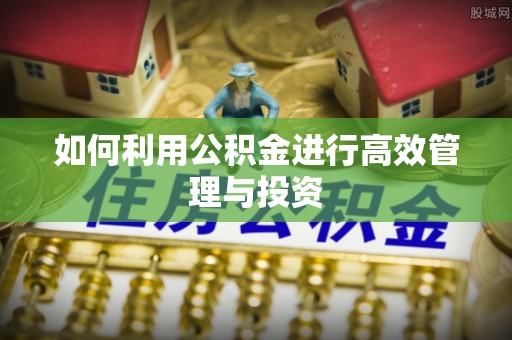 勃利如何利用公积金进行高效管理与投资
