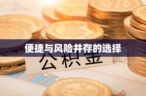 勃利便捷与风险并存的选择