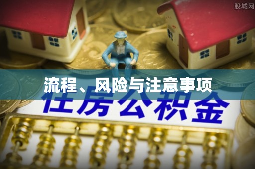 勃利流程、风险与注意事项