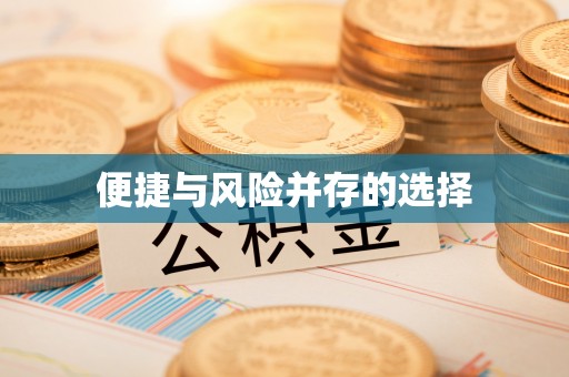 勃利便捷与风险并存的选择